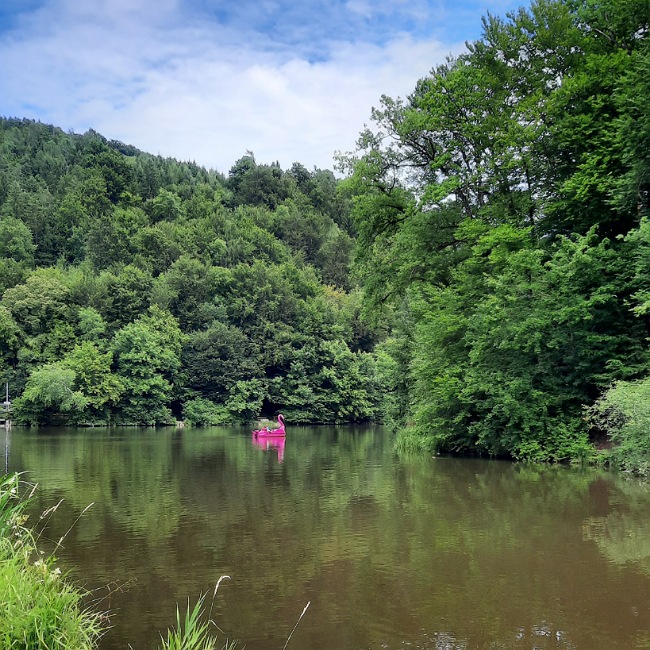 Thalersee mit pinkem Flamingo-Tretboot